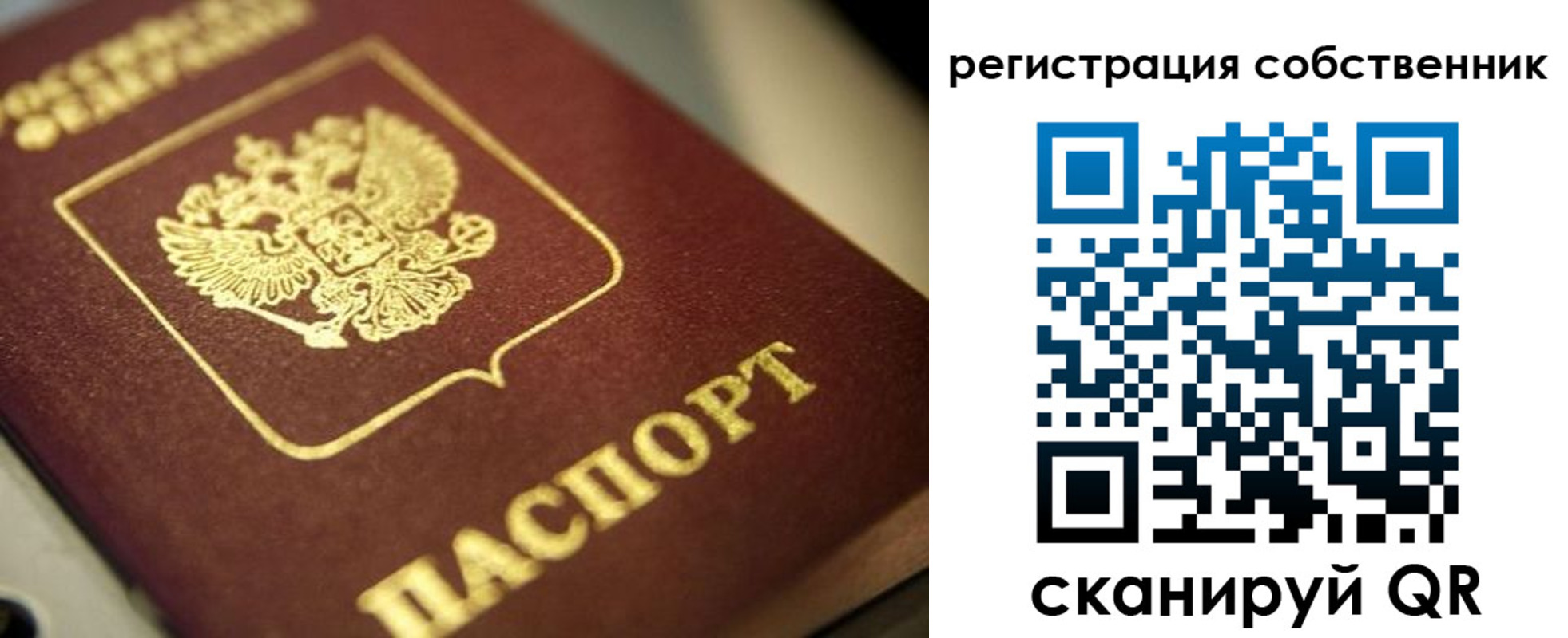 прописка в Грязовце